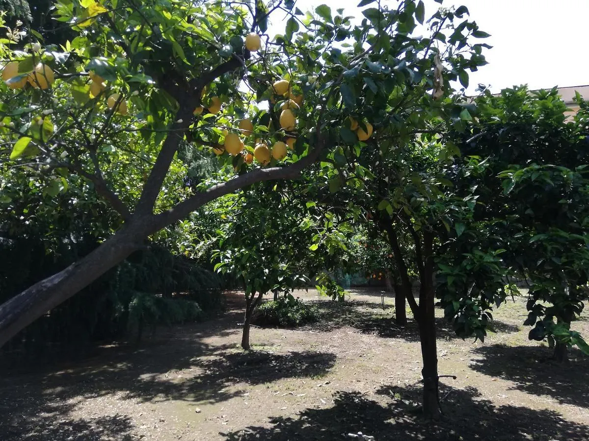 Appartamento Etna Mare Jonio Giarre
