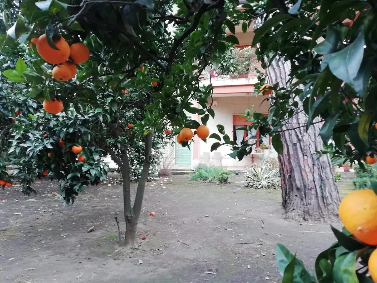 Appartamento Etna Mare Jonio Giarre 0*,  Italia