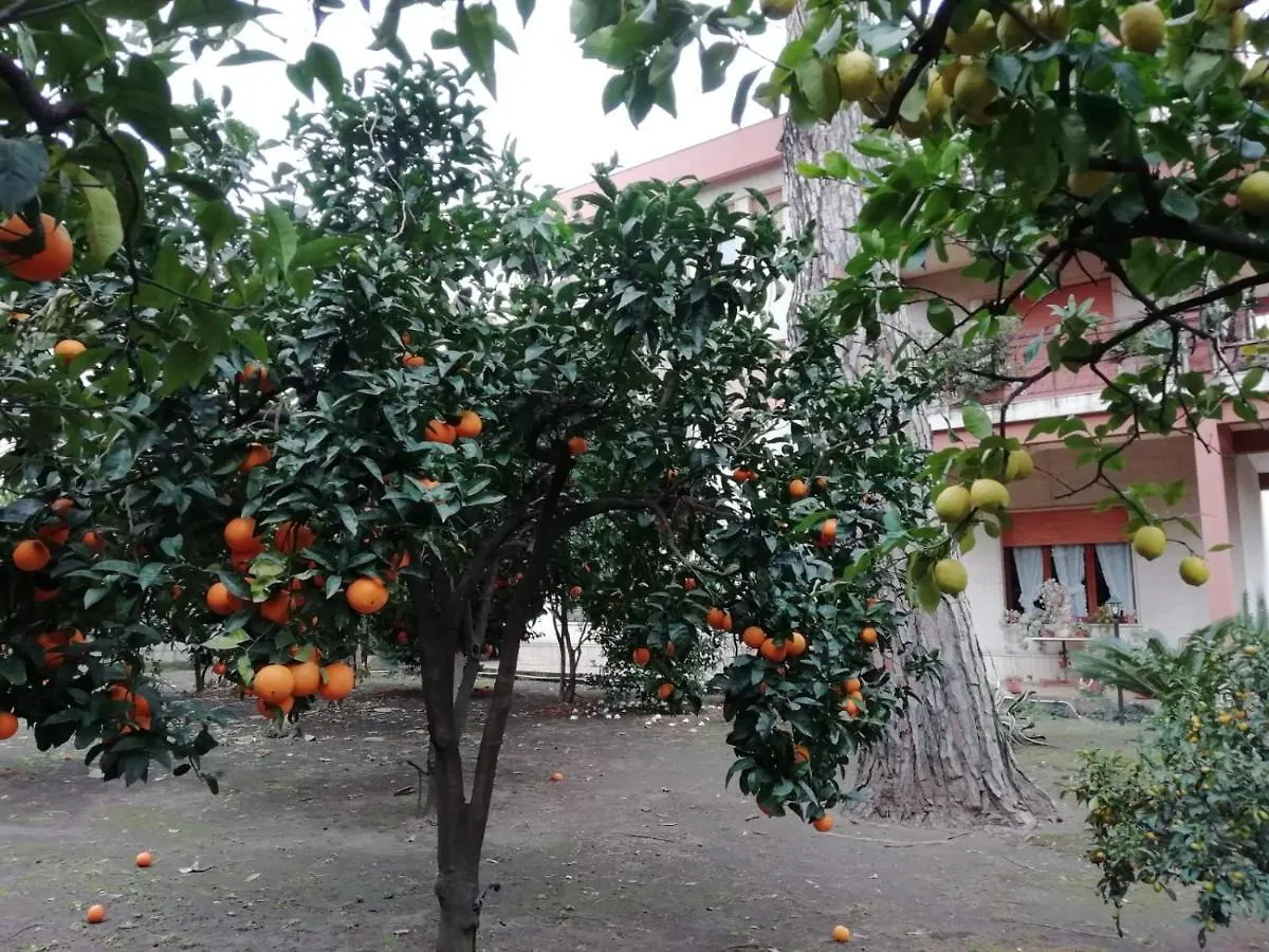 Appartamento Etna Mare Jonio Giarre