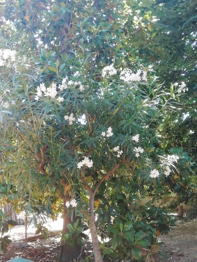 Etna Mare Jonio Apartment Giarre