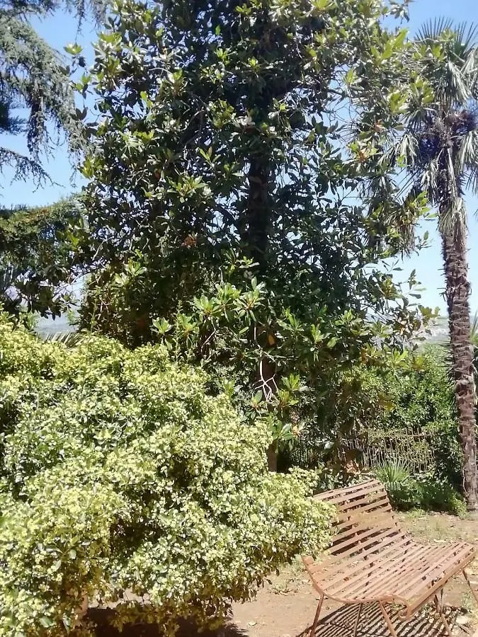 Etna Mare Jonio Apartment Giarre Italy