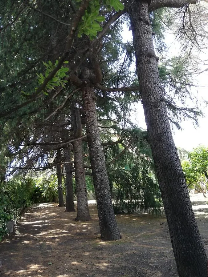 Etna Mare Jonio Apartment Giarre