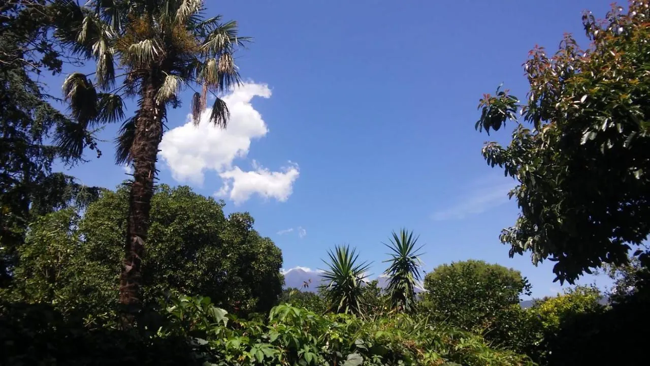 Etna Mare Jonio Apartment Giarre